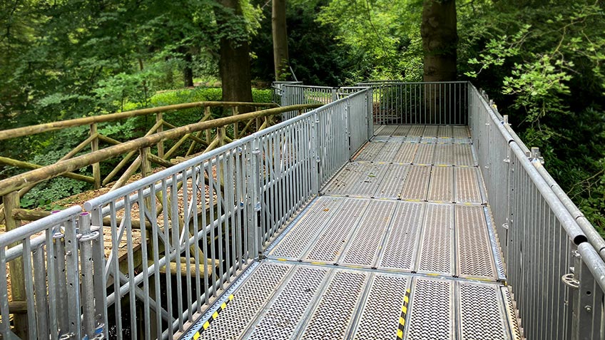vervangende brug in het bos
